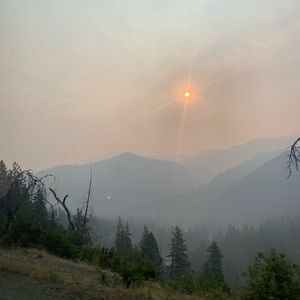 Meet your Posher, Wells